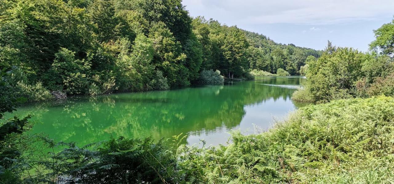 Appartamento Izvor Ogulin Esterno foto
